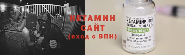 шишки Богородицк