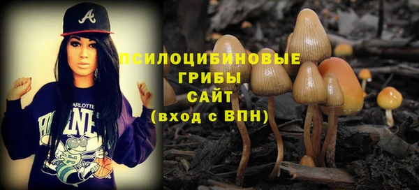 гашик Белоозёрский